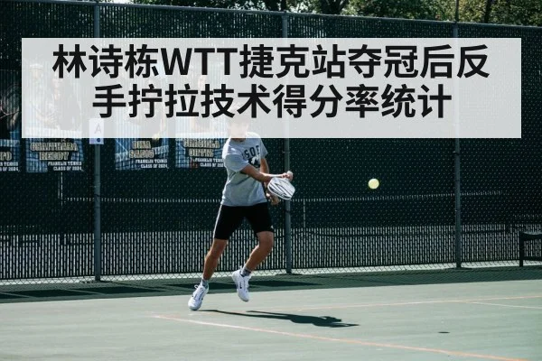 林诗栋WTT捷克站夺冠后反手拧拉技术得分率统计 | MKSPORTS MKSports